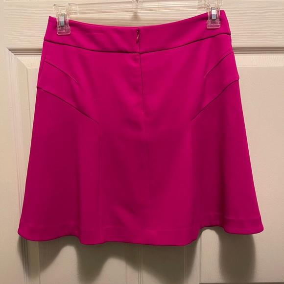 Express Mini Skirt - Picture 2 of 5